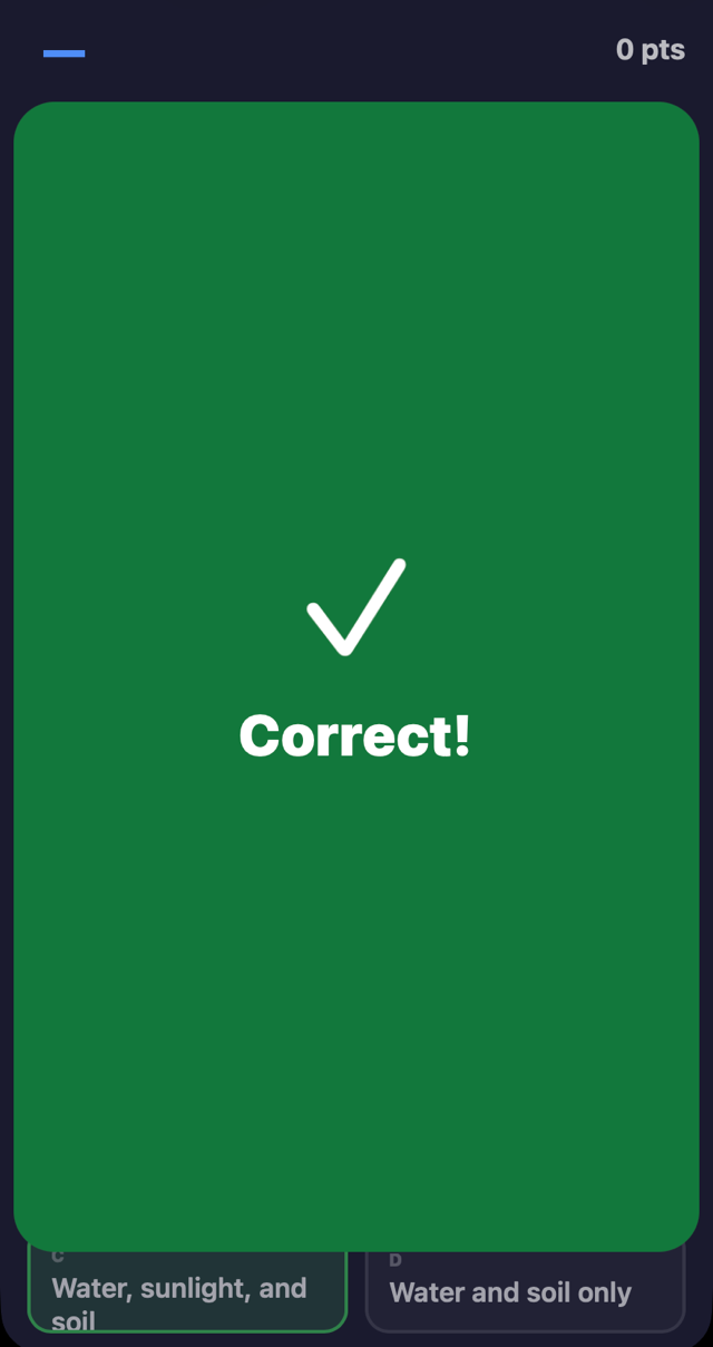 A student's phone showing the green Correct! screen for the same question.